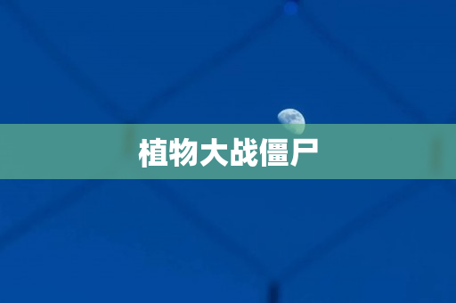 植物大战僵尸