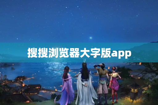搜搜浏览器大字版app