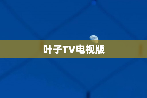 叶子TV电视版