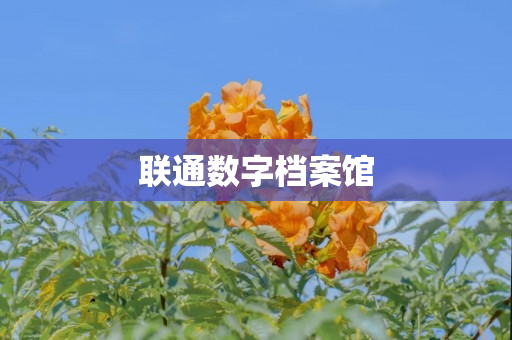 联通数字档案馆
