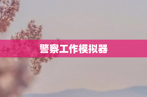 警察工作模拟器
