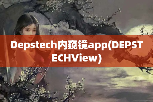 Depstech内窥镜app(DEPSTECHView)