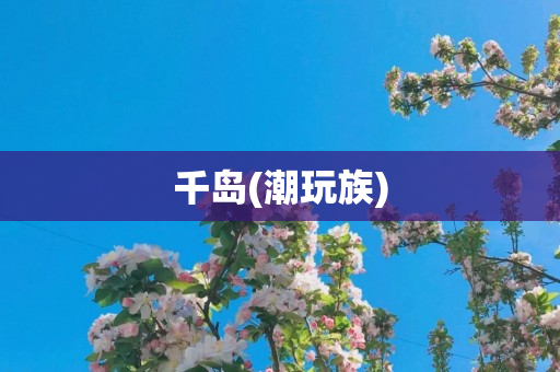 千岛(潮玩族)