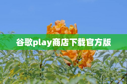 谷歌play商店下载官方版