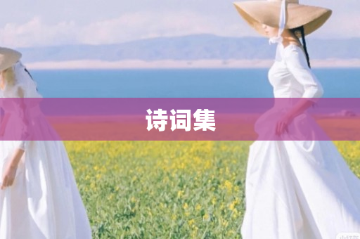 诗词集