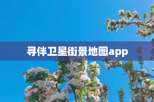寻伴卫星街景地图app