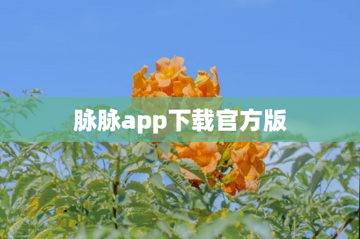 脉脉app下载官方版