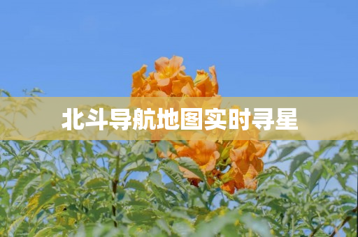 北斗导航地图实时寻星