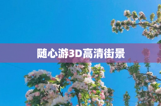 随心游3D高清街景
