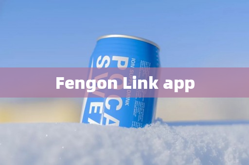 Fengon Link app