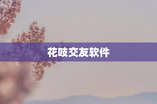 花吱交友软件