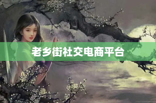 老乡街社交电商平台