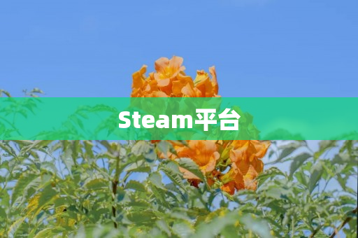 Steam平台