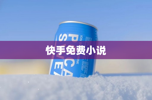 快手免费小说
