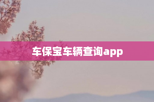 车保宝车辆查询app