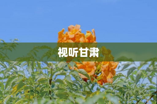 视听甘肃
