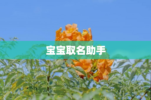 宝宝取名助手