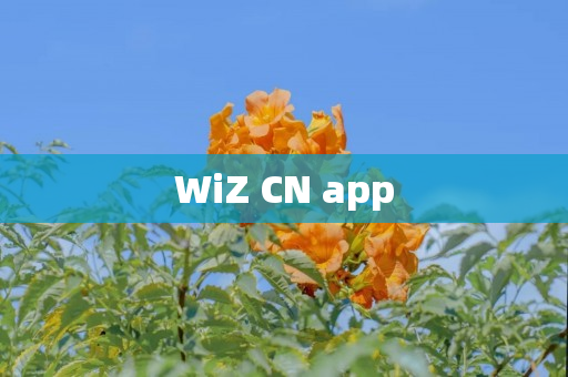 WiZ CN app