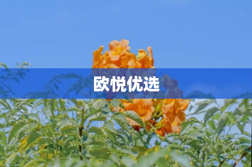 欧悦优选