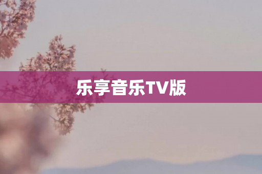 乐享音乐TV版