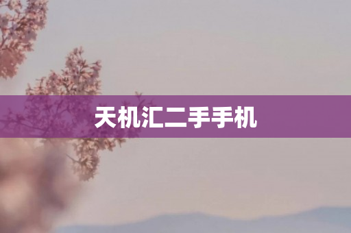 天机汇二手手机