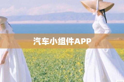 汽车小组件APP