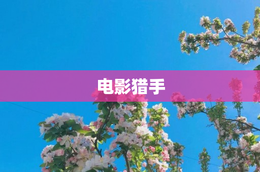 电影猎手