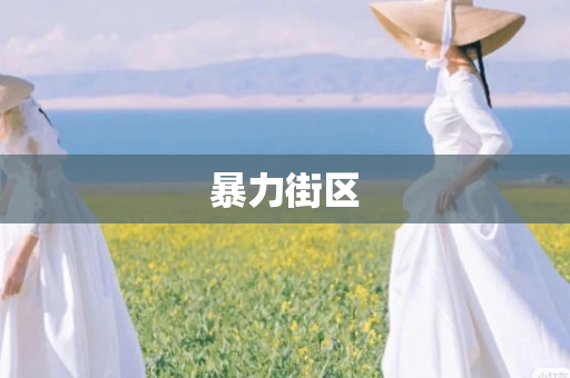 暴力街区
