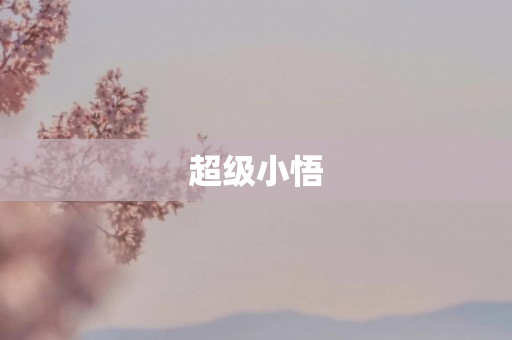 超级小悟