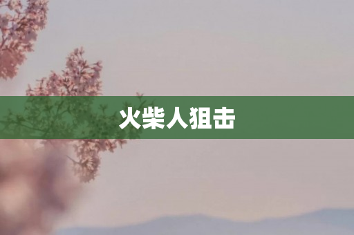 火柴人狙击
