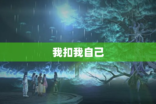 我扣我自己