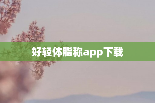 好轻体脂称app下载