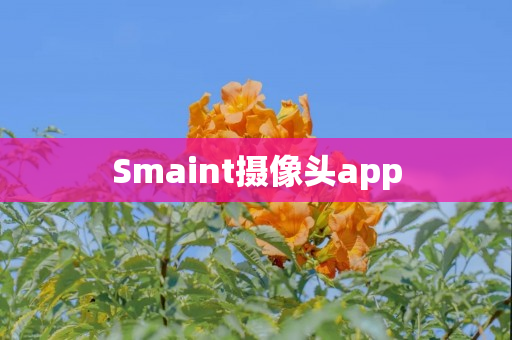 Smaint摄像头app
