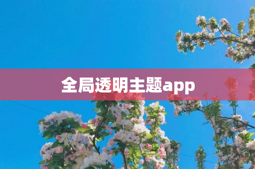 全局透明主题app