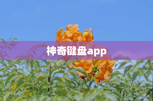 神奇键盘app
