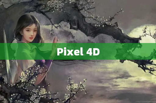 Pixel 4D