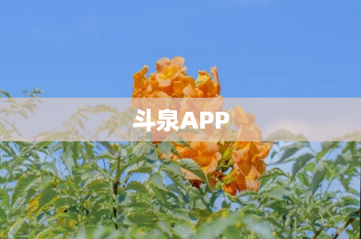 斗泉APP