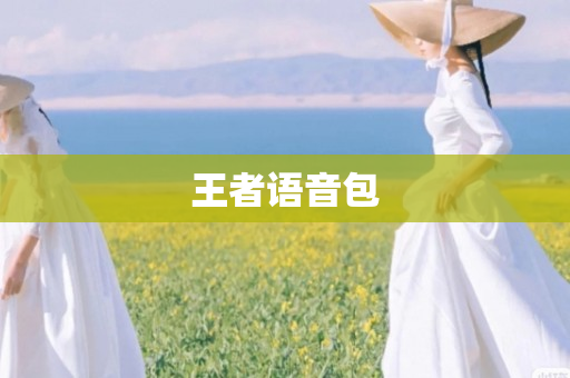 王者语音包
