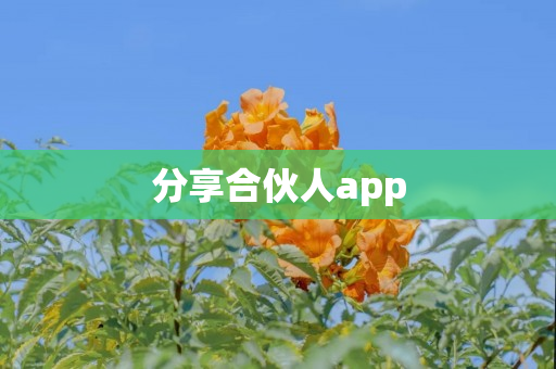 分享合伙人app