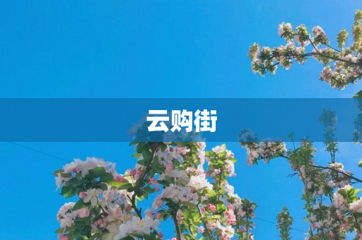 云购街