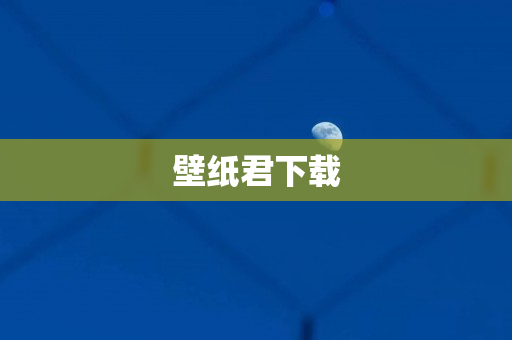 壁纸君下载