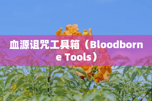 血源诅咒工具箱（Bloodborne Tools）