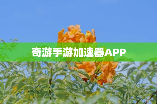 奇游手游加速器APP