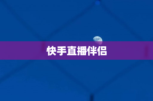 快手直播伴侣