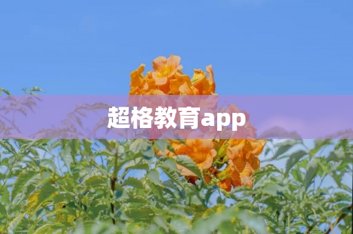 超格教育app