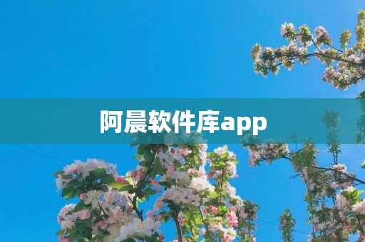 阿晨软件库app
