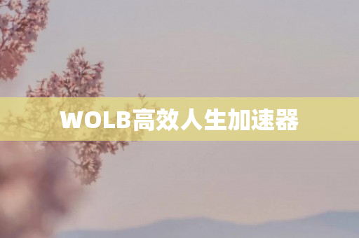 WOLB高效人生加速器