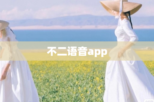 不二语音app