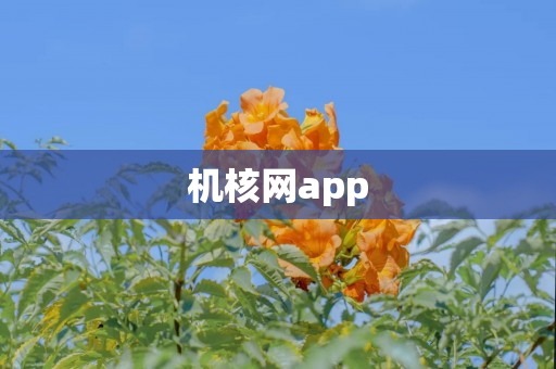 机核网app