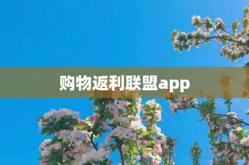 购物返利联盟app